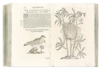 (NATURAL HISTORY.) Ulisse Aldrovandi. Ornithologiae, Hoc est De Avibvs Historiae.